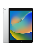 iPad (9. gen.)