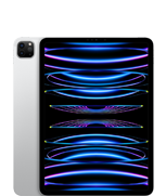 11-tommers iPad Pro (4. gen.)