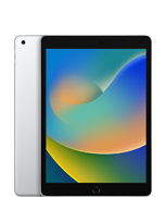 iPad (9.&nbsp;generation)