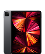 11-tommers iPad Pro (3. gen.)