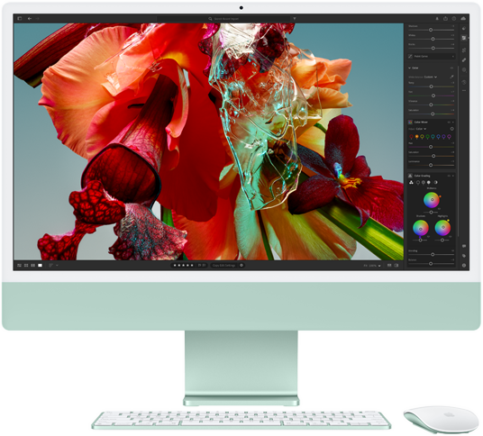 iMac-skjerm som viser en fargerikt blomst i Adobe Lightroom for å demonstrere toneomfanget og oppløsningen på Retina 4,5K-skjermen.