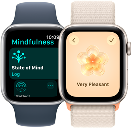  En visar en skärm från appen Mindfulness där Sinnestillstånd har markerats. Den andra visar att sinnestillståndet Mycket behagligt har valts.